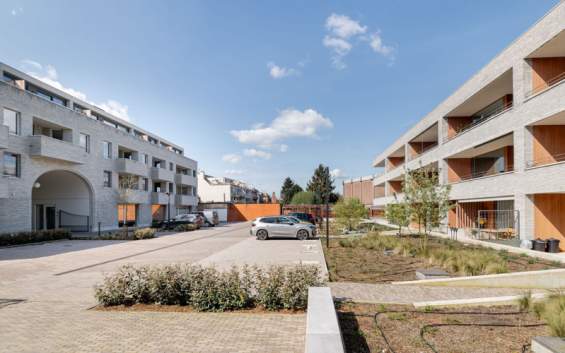 Den Bonten Os - Westmalle