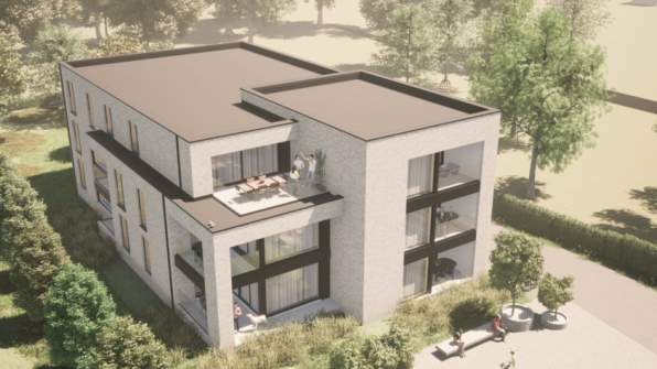 Lichtveld - Tessenderlo