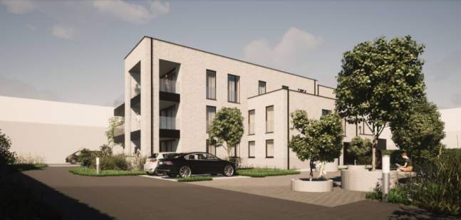 Lichtveld - Tessenderlo