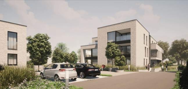 Lichtveld - Tessenderlo